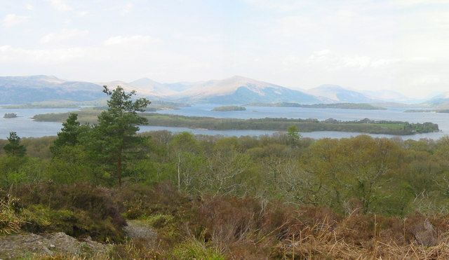 The wooded island of Inchcailloch on Loch Lomond